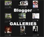 Private Galleries for Bloggers
