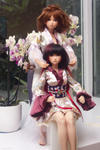 Maiko Yoshimi Kimono 04_0526